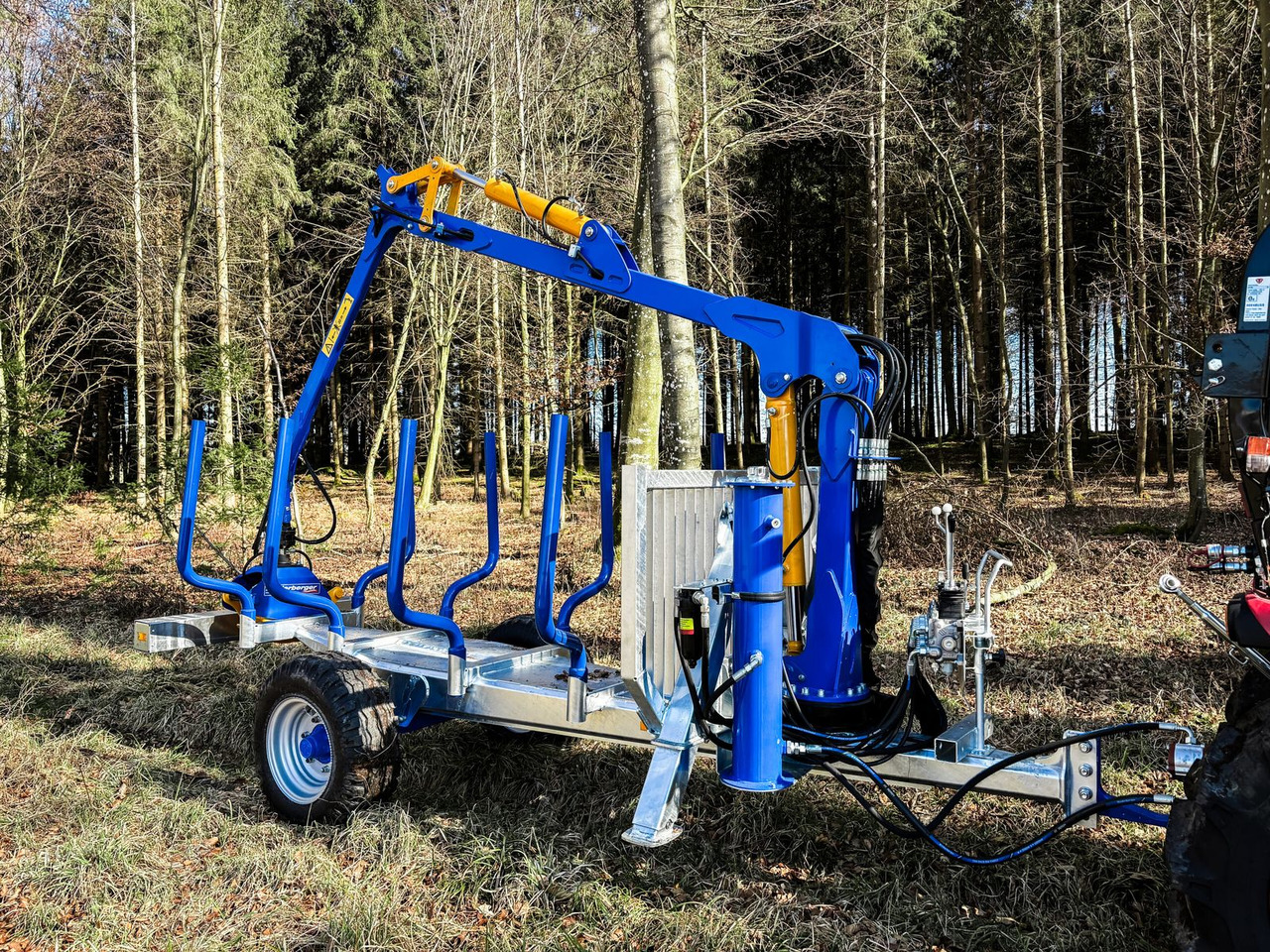 Binderberger Alpin 3t Holzrückewagen - Лесной прицеп: фото 1 Binderberger Alpin 3t Holzrückewagen - Лесной прицеп: фото 1