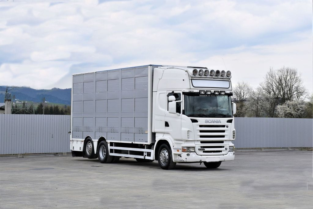 Scania R 500 TIERTRANSPORTWAGEN 7,10m / 4STOCK Scania R 500 TIERTRANSPORTWAGEN 7,10m / 4STOCK - Грузовик для перевозки животных: фото 2 Scania R 500 TIERTRANSPORTWAGEN 7,10m / 4STOCK Scania R 500 TIERTRANSPORTWAGEN 7,10m / 4STOCK - Грузовик для перевозки животных: фото 2