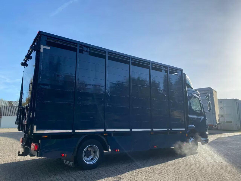 DAF LF 280 - Грузовик для перевозки животных: фото 3 DAF LF 280 - Грузовик для перевозки животных: фото 3