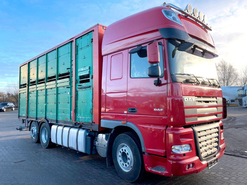 DAF XF 105.460 2-Stock Finkl Viehaufbau / Lenkachs - Грузовик для перевозки животных: фото 1 DAF XF 105.460 2-Stock Finkl Viehaufbau / Lenkachs - Грузовик для перевозки животных: фото 1