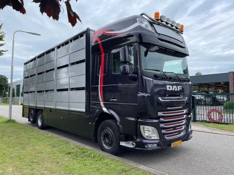DAF XF 460 - Animal transporter - Грузовик для перевозки животных: фото 2 DAF XF 460 - Animal transporter - Грузовик для перевозки животных: фото 2
