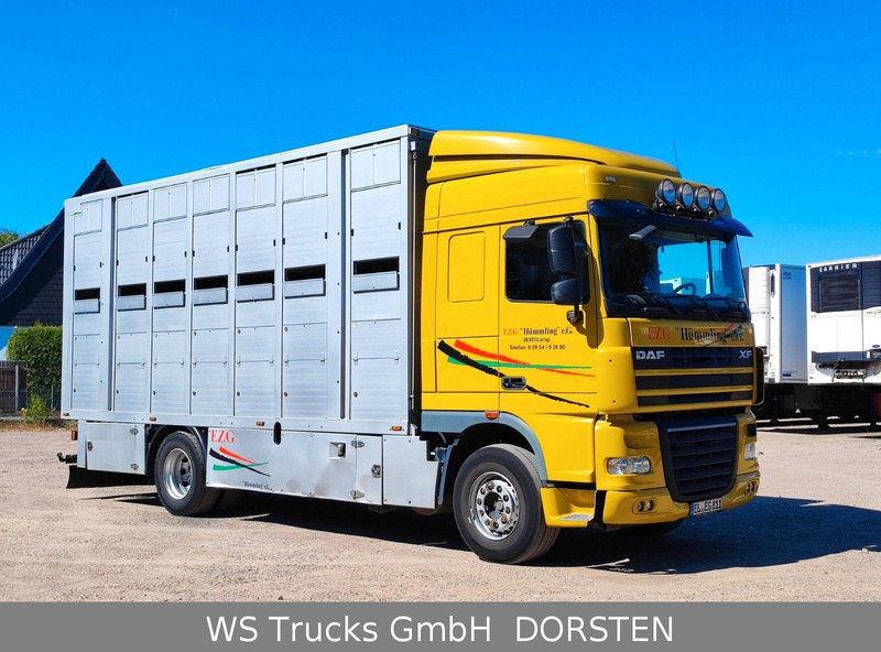 DAF XF410 Menke Doppelstock - Грузовик для перевозки животных: фото 4 DAF XF410 Menke Doppelstock - Грузовик для перевозки животных: фото 4