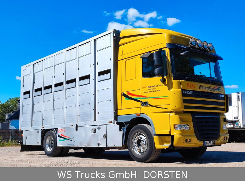DAF XF410 Menke Doppelstock - Грузовик для перевозки животных: фото 3 DAF XF410 Menke Doppelstock - Грузовик для перевозки животных: фото 3