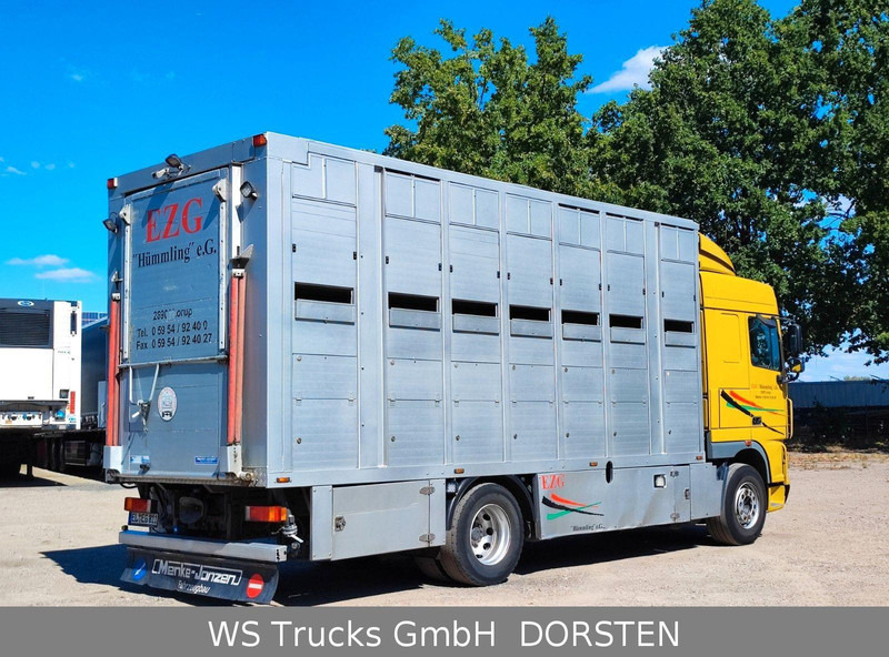 DAF XF410 Menke Doppelstock - Грузовик для перевозки животных: фото 5 DAF XF410 Menke Doppelstock - Грузовик для перевозки животных: фото 5