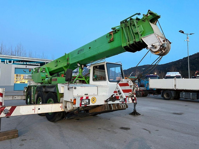 Мобильный кран Liebherr LTM 1035 Mobildaru: фото 6