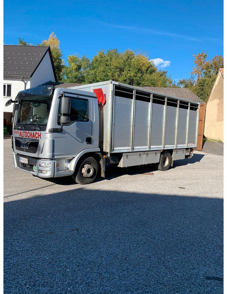 MAN TGL 12.250 - Грузовик для перевозки животных: фото 2 MAN TGL 12.250 - Грузовик для перевозки животных: фото 2