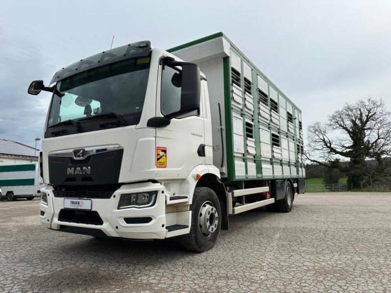 MAN TGM 15.290 Livestock Double Deck - Грузовик для перевозки животных: фото 2 MAN TGM 15.290 Livestock Double Deck - Грузовик для перевозки животных: фото 2