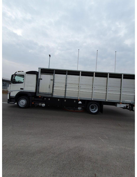 Volvo FM 500 Viehtransporter ( Rind / beef ) - Грузовик для перевозки животных: фото 5 Volvo FM 500 Viehtransporter ( Rind / beef ) - Грузовик для перевозки животных: фото 5