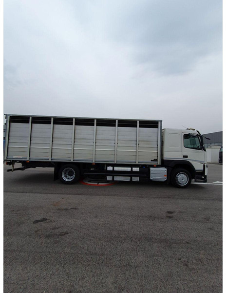 Volvo FM 500 Viehtransporter ( Rind / beef ) - Грузовик для перевозки животных: фото 4 Volvo FM 500 Viehtransporter ( Rind / beef ) - Грузовик для перевозки животных: фото 4