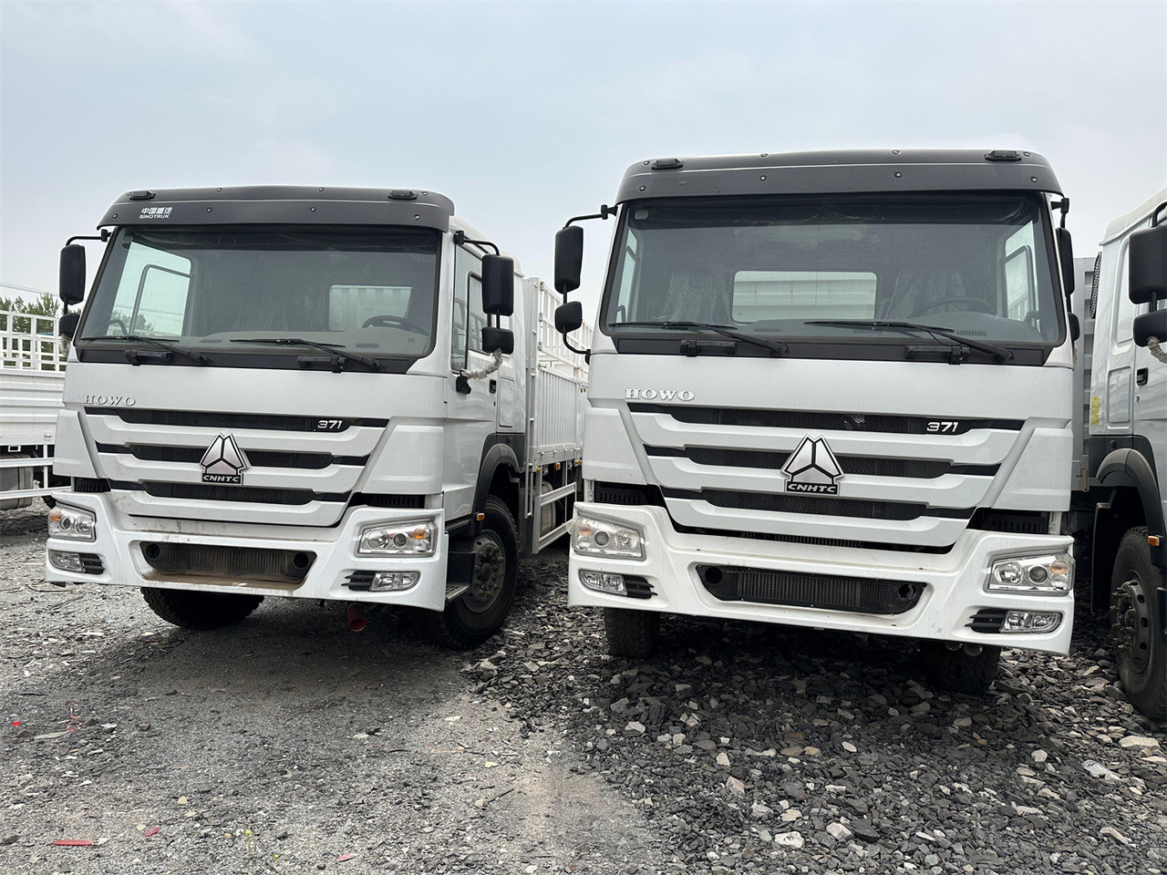 SINOTRUK HOWO 371 Cargo truck - Грузовик для перевозки животных: фото 2 SINOTRUK HOWO 371 Cargo truck - Грузовик для перевозки животных: фото 2