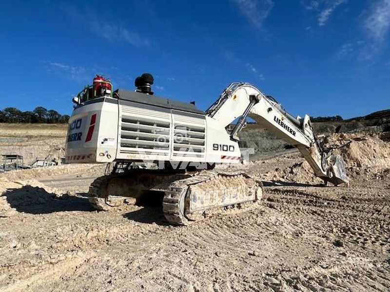 Liebherr R9100 - Гусеничный экскаватор: фото 1 Liebherr R9100 - Гусеничный экскаватор: фото 1
