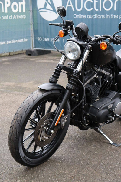 Мотоцикл Harley-Davidson Sporster XL 883 Iron: фото 12 Мотоцикл Harley-Davidson Sporster XL 883 Iron: фото 12