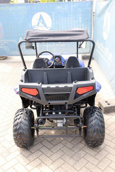 Wextrem UTV-ATV 200Pro - Гольф-кар: фото 4 Wextrem UTV-ATV 200Pro - Гольф-кар: фото 4