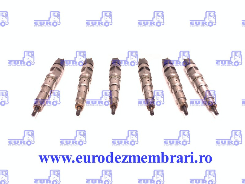 SET INJECTOARE MAN D20 51.10100.6048, 51.10100.6125 - Распределитель впрыска для Грузовиков: фото 1 SET INJECTOARE MAN D20 51.10100.6048, 51.10100.6125 - Распределитель впрыска для Грузовиков: фото 1