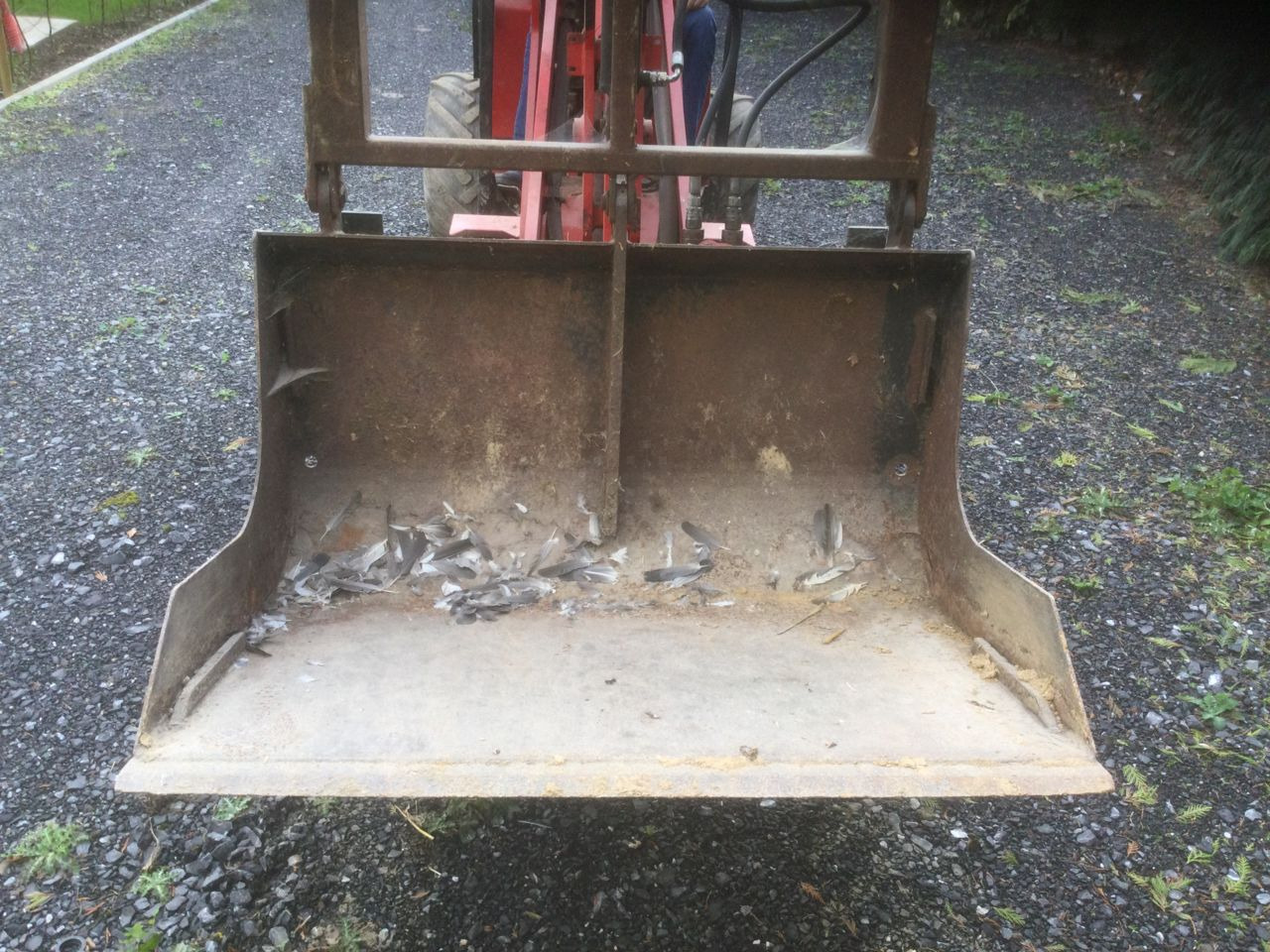 Schäffer 2030 slt - Компактный фронтальный погрузчик: фото 4 Schäffer 2030 slt - Компактный фронтальный погрузчик: фото 4