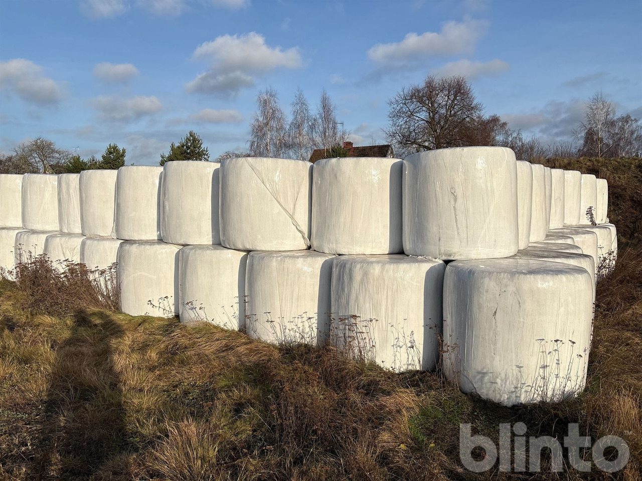 2:a skörd - Техника для силоса: фото 2 2:a skörd - Техника для силоса: фото 2