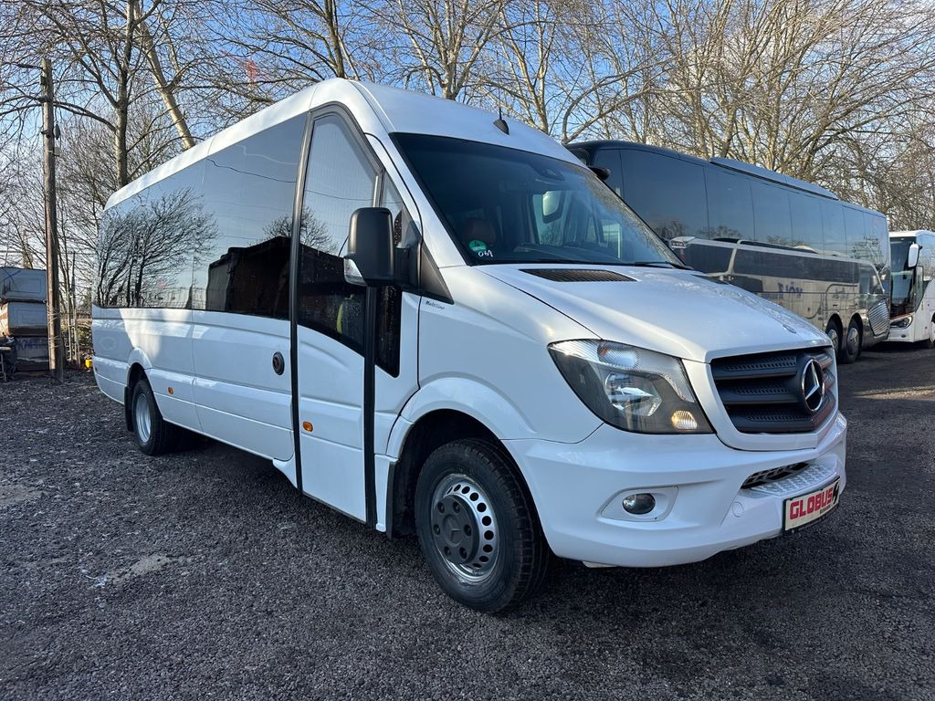 Mercedes-Benz Sprinter Altas 516 CDi Multiline (DE*AC*Reise) - Микроавтобус, Пассажирский фургон: фото 1 Mercedes-Benz Sprinter Altas 516 CDi Multiline (DE*AC*Reise) - Микроавтобус, Пассажирский фургон: фото 1